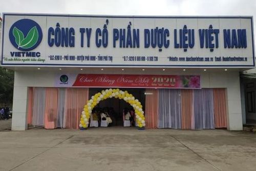 Chậm công bố báo cáo, Công ty Cổ phần Dược liệu Việt Nam bị xử phạt