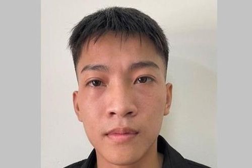 Trộm tiền trong lợn nhựa nhà hàng xóm
