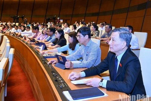 Bảo đảm môi trường đầu tư kinh doanh bình đẳng cho các tổ chức hợp tác xã