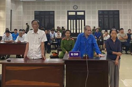Vợ chồng chủ doanh nghiệp tự ý xẻ đất nhà nước để bán