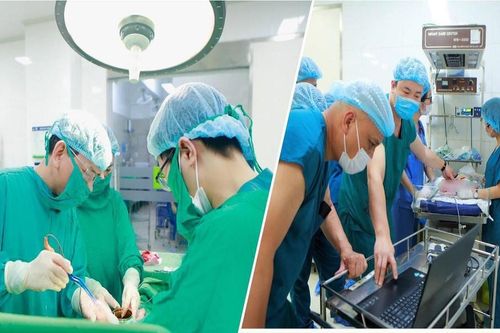 Cứu em bé mắc tim bẩm sinh nặng khi còn trong bào thai