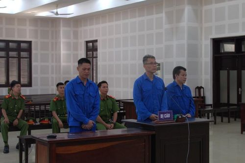 Lùa chó Pitpull cắn hàng xóm vì bị đánh, cả chủ lẫn nạn nhân cùng lĩnh án tù