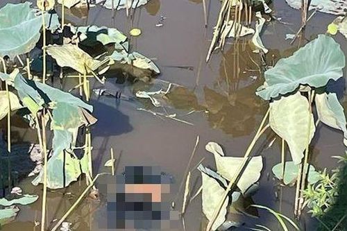 Phát hiện thanh niên tử vong dưới hồ sen ở Quảng Nam