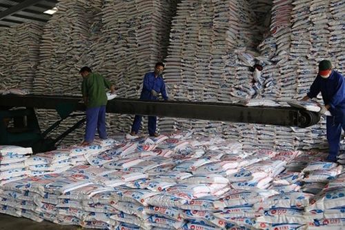 Giá phân bón hôm nay 20/6: Giao dịch ổn định