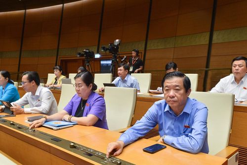 Cấm tổ chức, cá nhân kinh doanh gọi điện, nhắn tin quấy rầy người tiêu dùng