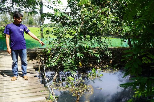 Đồng Tháp: Người dân sống bên rạch Ông Ấu 'kêu trời' vì nước ô nhiễm