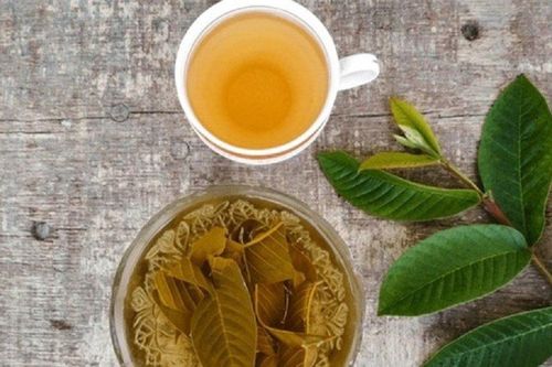 Loại lá tưởng bỏ đi nhưng làm theo cách này lại vô cùng lợi sức khỏe