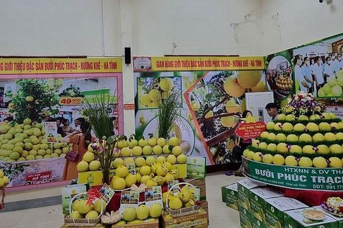 Hà Tĩnh: Chuyển đổi số để hướng tới xây dựng nông thôn mới thông minh