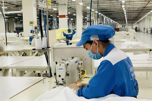 Nhiều bất lợi, Tập đoàn Dệt may Việt Nam vẫn kỳ vọng đạt doanh thu hợp nhất 17.500 tỷ đồng