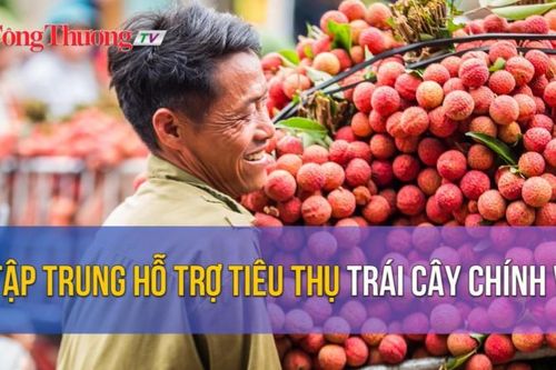 Tập trung hỗ trợ tiêu thụ trái cây chính vụ
