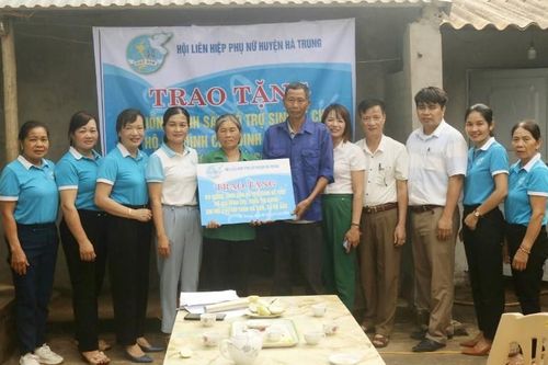 Trao bò giống sinh sản - hỗ trợ sinh kế cho hội viên đặc biệt khó khăn