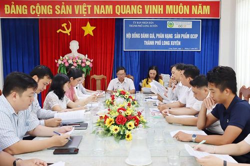 TP. Long Xuyên triển khai thí điểm 'Tuyến phố không dùng tiền mặt'