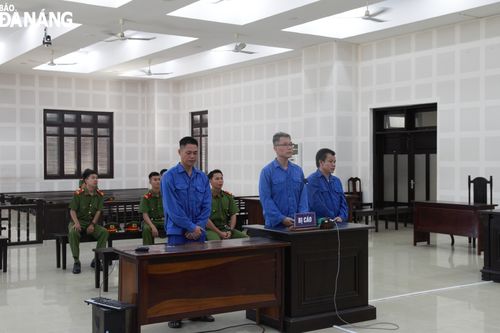 Lãnh án vì thả chó Pitpull cắn hàng xóm