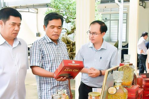Ngành Khoa học-Công nghệ cần phát triển tương xứng với tiềm năng, tiềm lực