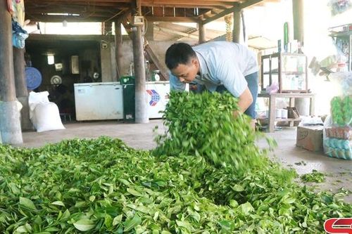Làm giàu từ mô hình tổng hợp