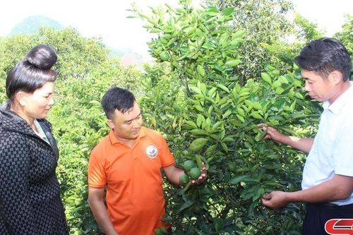 Mường Sai phấn đấu đạt chuẩn nông thôn mới