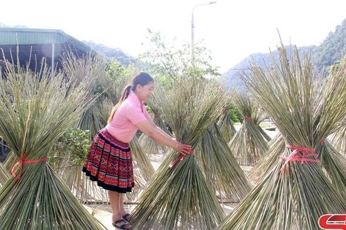 Giữ nghề se lanh, dệt vải của đồng bào dân tộc Mông