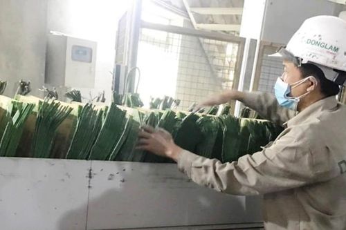 Giảm phát thải môi trường, hướng đến khách hàng