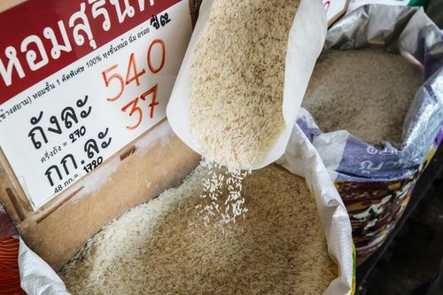 Thái Lan: Xuất khẩu gạo có thể vượt 8 triệu tấn, nhiều nước đang tích trữ gạo để đối phó El Nino