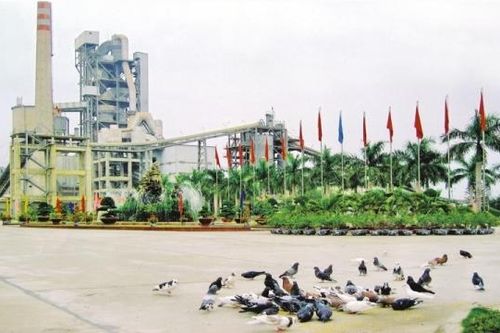 VICEM Hải Phòng: Nâng cao chất lượng, quản lý chặt định mức