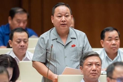 Phục hồi các dòng sông 'chết' là quan trọng và cấp bách