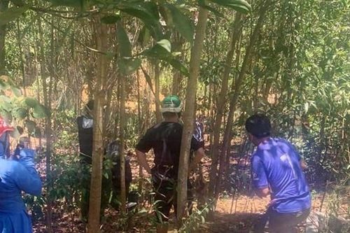 Hà Tĩnh: Phát hiện thi thể người đàn ông đang phân hủy trong vườn keo