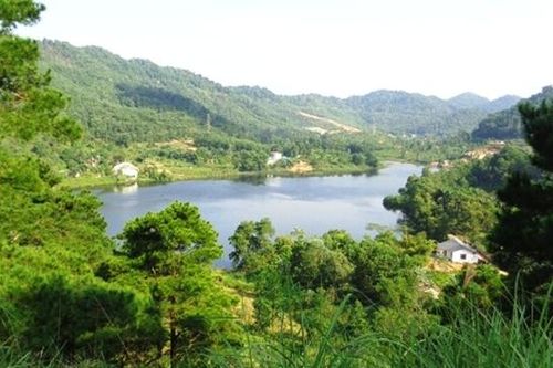 Xem xét trách nhiệm tổ chức, cá nhân để mất rừng tự nhiên