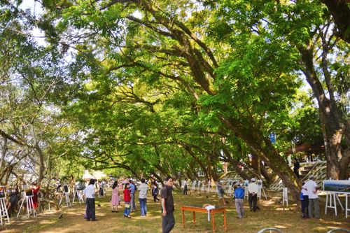 Ngày hội Văn hóa, Thể thao và Du lịch biển Tam Kỳ