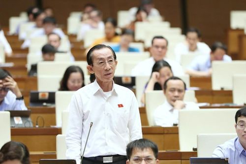 Đại biểu Quốc hội: Nhà, đất công lãng phí là vấn đề nhức nhối hiện nay