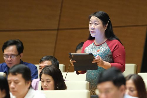 Cần có chính sách đặc thù đất cho phát triển giáo dục