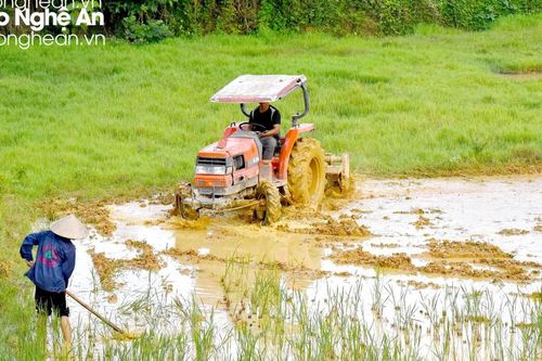 Nông dân vùng cao tìm nước gieo cấy lúa vụ mùa