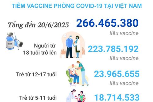 Tình hình tiêm vaccine phòng COVID-19 tại Việt Nam tính đến hết ngày 20/6/2023