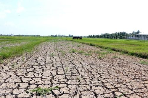 Trung Bộ vẫn có nguy cơ xảy ra hạn hán, thiếu nước