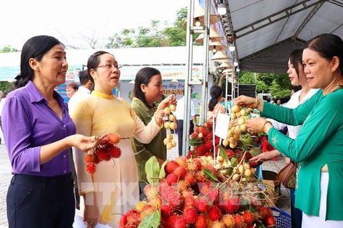 Cần Thơ mở lối cho trái cây tiếp cận thị trường