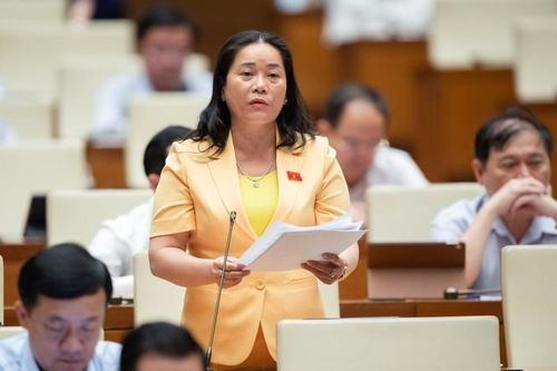 Dự thảo Luật Đất đai (sửa đổi): Tiềm ẩn bất công trong thu hồi đất nông nghiệp giá rẻ, chuyển đổi bán giá cao