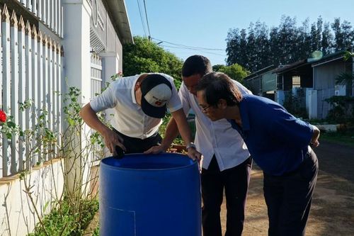 Đắk Lắk ghi nhận ca mắc viêm não Nhật Bản đầu tiên trong năm 2023