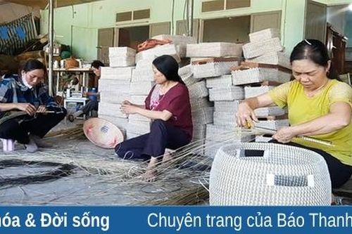 Hiệu quả nguồn vốn vay giải quyết việc làm ở Nông Cống
