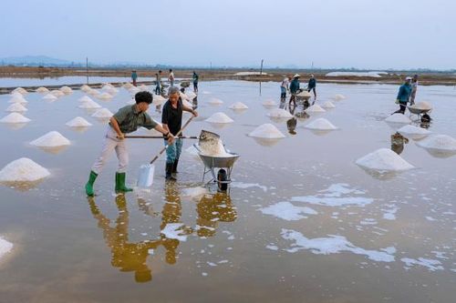 Về Nam Vân Phong trải nghiệm du lịch dân dã