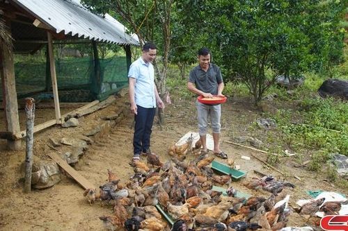 Phù Yên quan tâm ổn định đời sống nhân dân điểm tái định cư