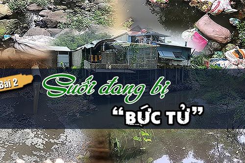 Bài 2: Suối đang bị 'bức tử'