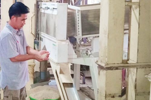 Mạnh dạn làm giàu
