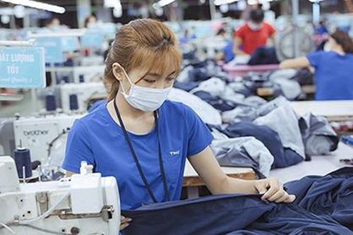 Phó Chủ tịch TNG muốn mua 1 triệu cổ phiếu TNG