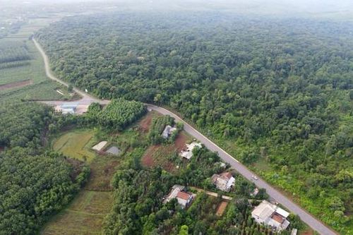 Đến năm 2022, Việt Nam có gần 15 triệu ha rừng