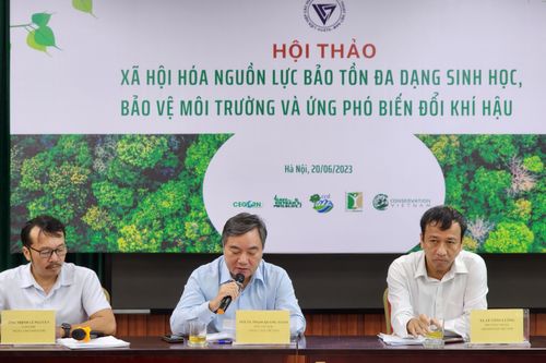Tăng phí dịch vụ rừng để tạo nguồn lực bảo vệ đa dạng sinh học