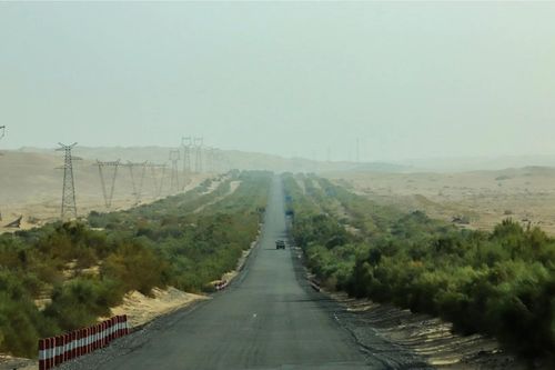 Biến cát thành đất trồng, Trung Quốc phủ xanh gần 500km đường băng qua sa mạc