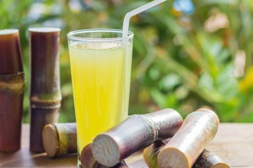 Mía không chỉ giải khát, thanh nhiệt mà còn chữa được bệnh