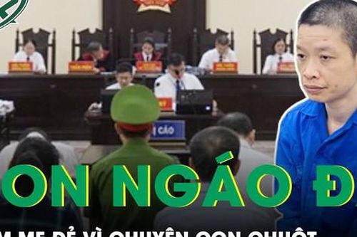 Con trai ngáo đá sát hại mẹ đẻ vì chuyện con chuột nhận án 12 năm tù giam