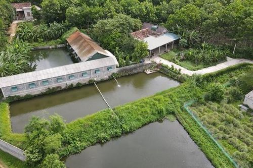Lãnh đạo tỉnh Quảng Bình chỉ đạo xử lý nội dung Báo SK&ĐS phản ánh