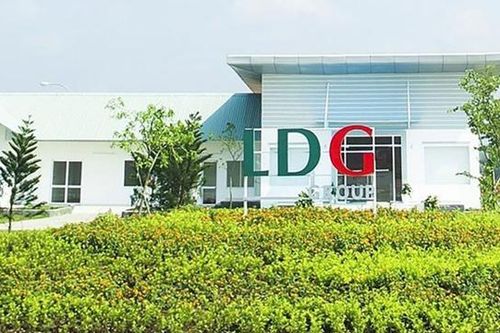 Đầu tư LDG: Tổ chức ĐHĐCĐ 2023 bất thành, Shark Louis Nguyễn muốn rút khỏi HĐQT