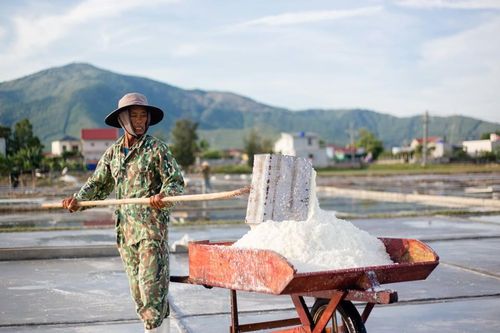 Quảng Bình: 'Nặng tình' nghề làm muối ở Phú Lộc